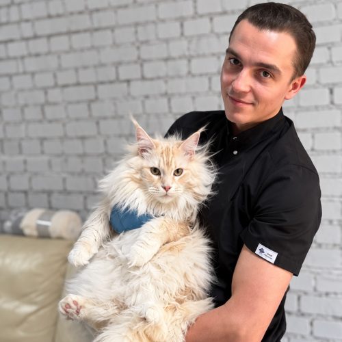 Чопа Богдан